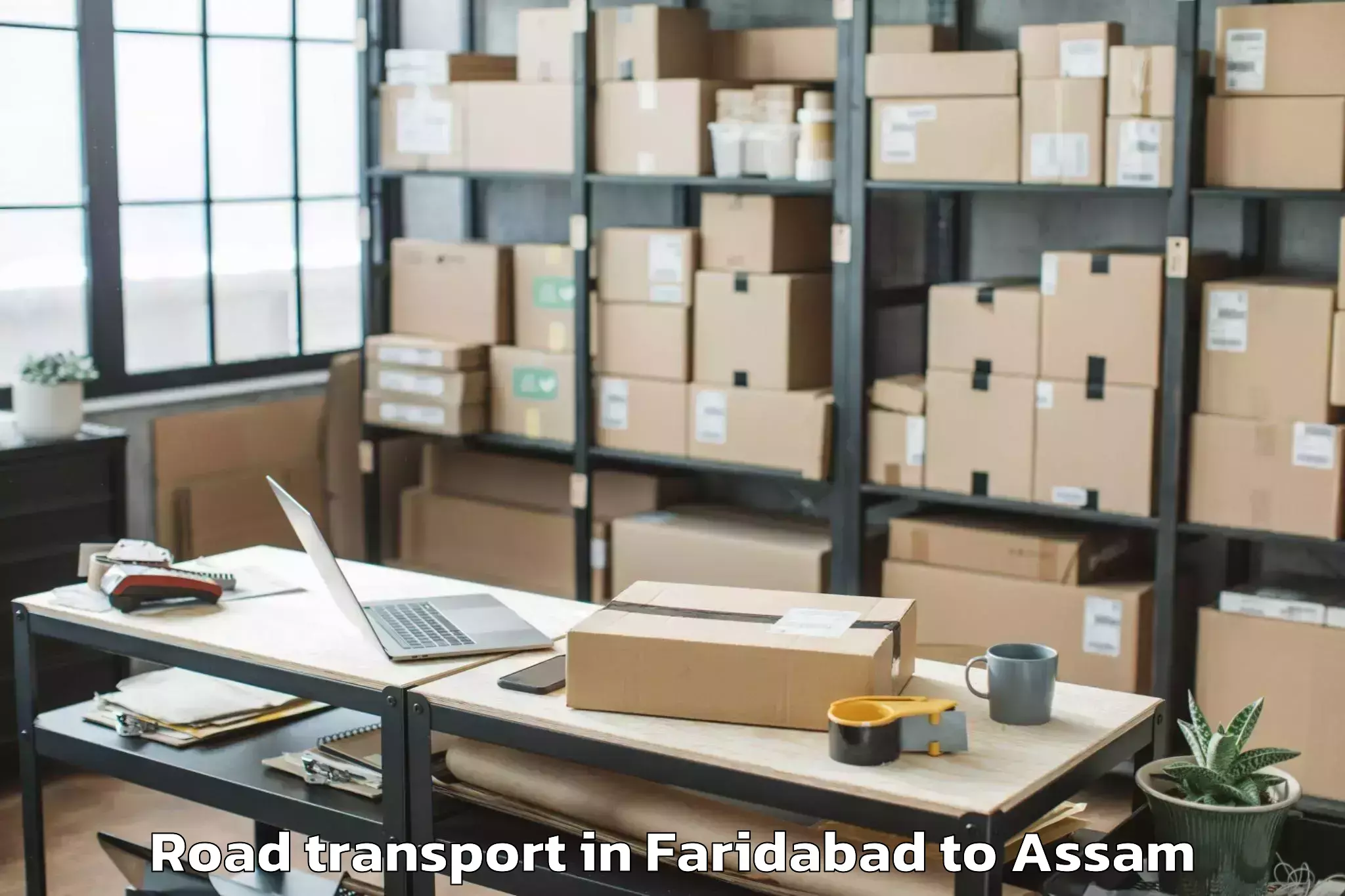 Leading Faridabad to Palasbari Road Transport Provider